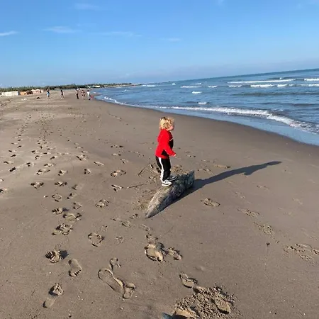 아파트 Green Apartment *